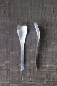 Astragalus Spoon