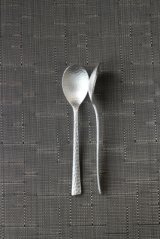 Photo: Dinner Spoon